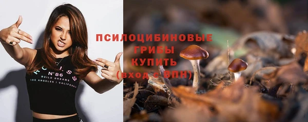 индика Балахна
