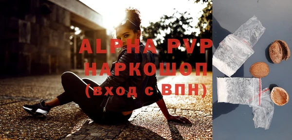 индика Балахна