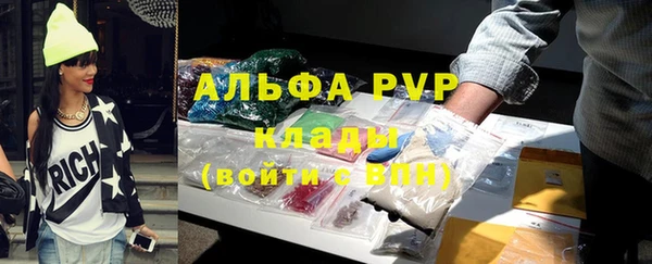 индика Балахна