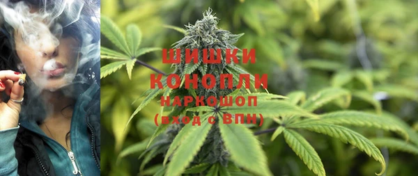 индика Балахна