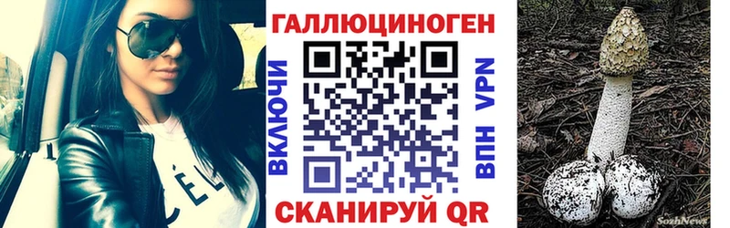Галлюциногенные грибы прущие грибы  Пересвет 
